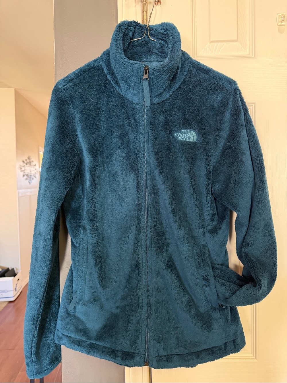 The North Face Teal Plush Fleece Full-Zip Jacket
